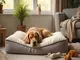 memory-foam-kissen-fuer-hunde-so-sorgst-du-fuer-einen-gesunden-schlaf