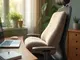 so-waehlen-sie-das-perfekte-ergonomische-kissen-fuer-ihren-schreibtischstuhl-aus